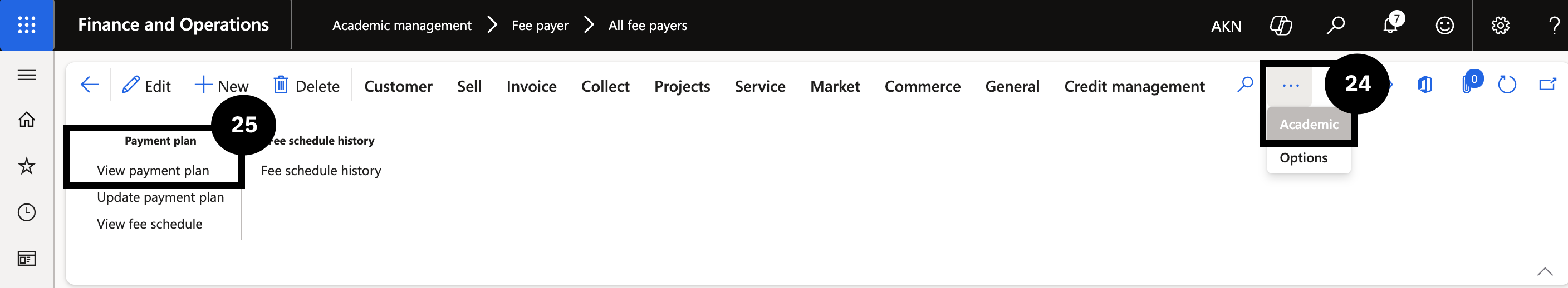 Apply Payment Plan to Fee Payer — the View payment plan option accessed from the fee payer Academic tab