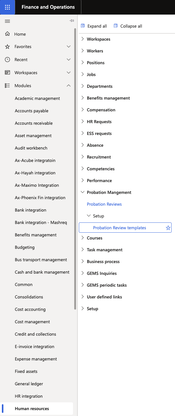 The HR Probation Reviews list form showing employee names, review type (Stage 1 or Stage 2), and workflow status columns