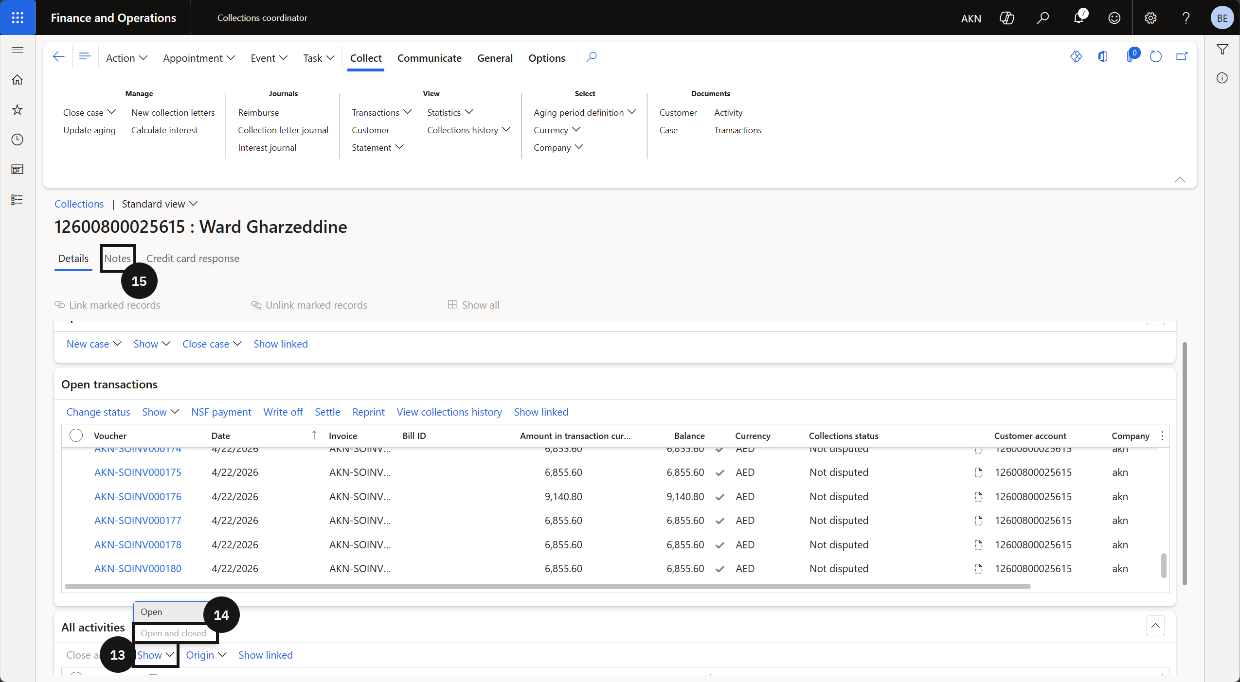 Record Debtor Notes — the Notes tab showing all open and closed notes for the customer