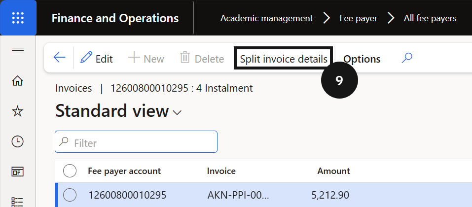 View Payment Plan Details — the Split invoice detail panel showing the instalment schedule