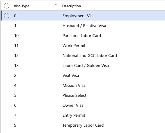 The Visa Type list in D365 showing configured visa type rows with labels and descriptions